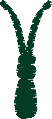 Butterflies & Bows 1  (10)