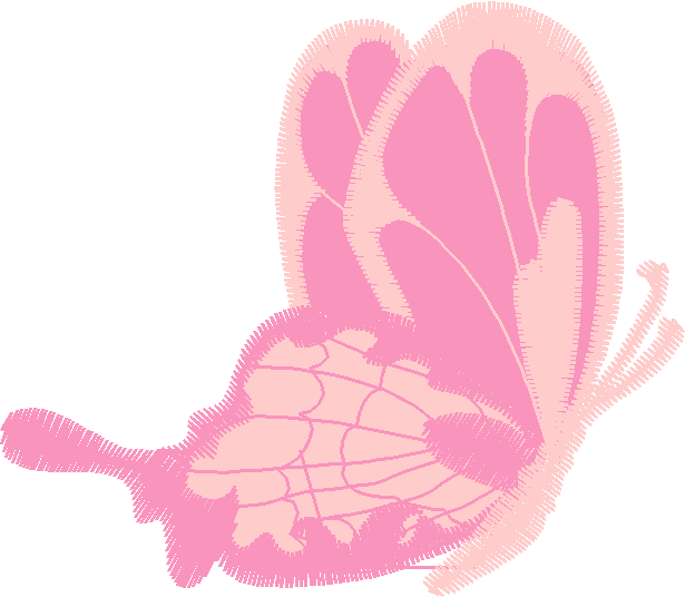 Butterflies & Bows 1  (7)