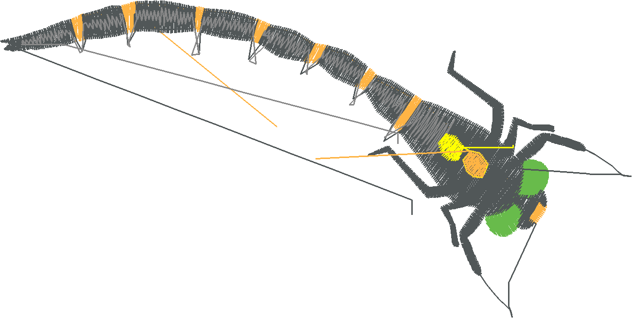 Butterflies & Dragonflies 1  (1)