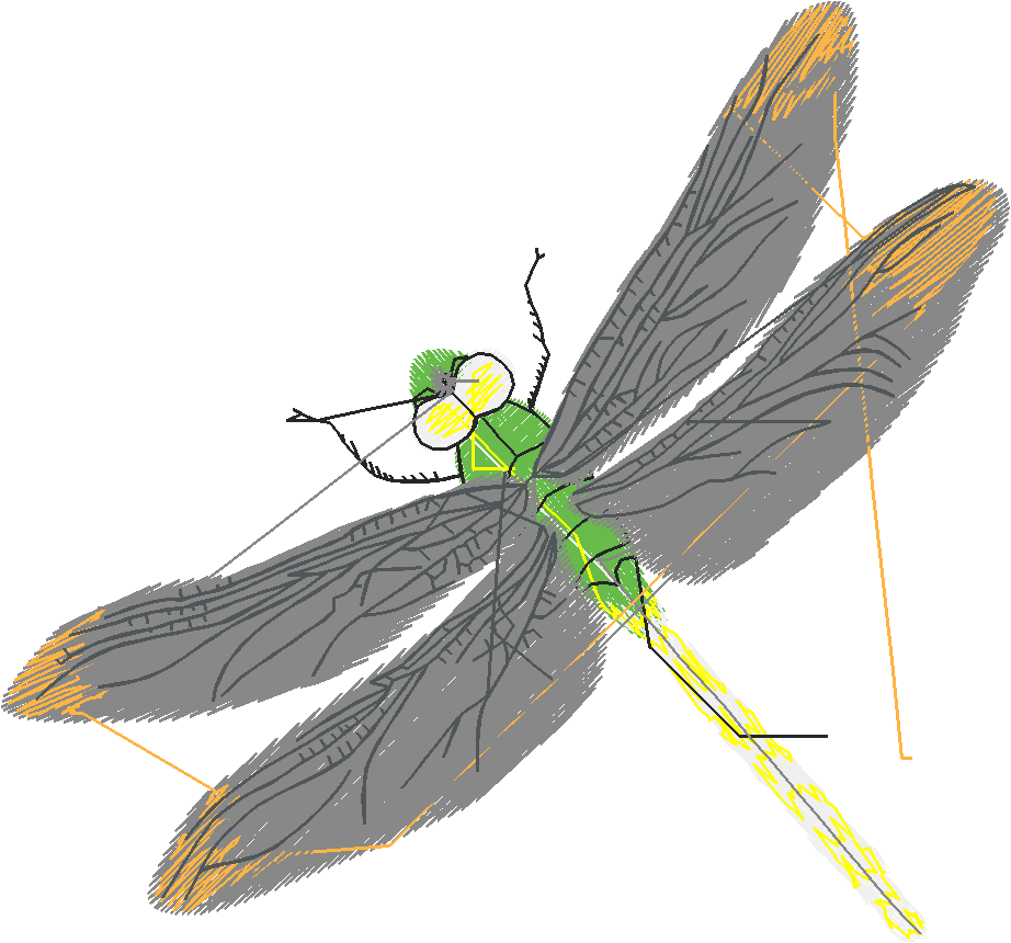 Butterflies & Dragonflies 1  (10)