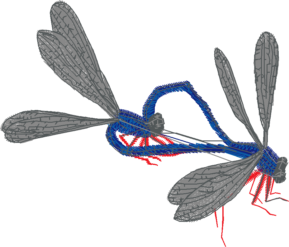 Butterflies & Dragonflies 1  (12)