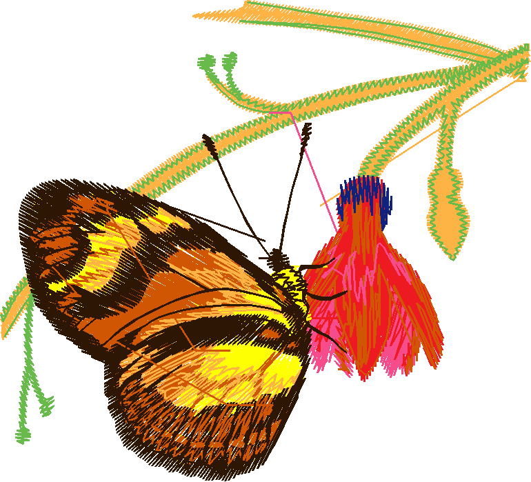 Butterflies & Dragonflies 1  (13)