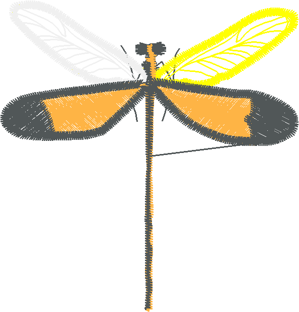 Butterflies & Dragonflies 1  (17)