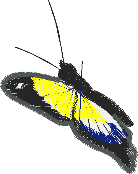 Butterflies & Dragonflies 1  (18)