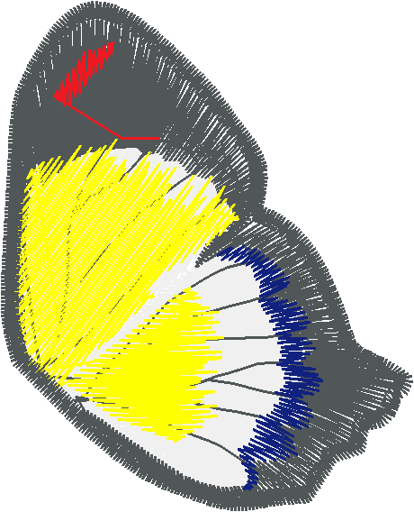 Butterflies & Dragonflies 1  (19)