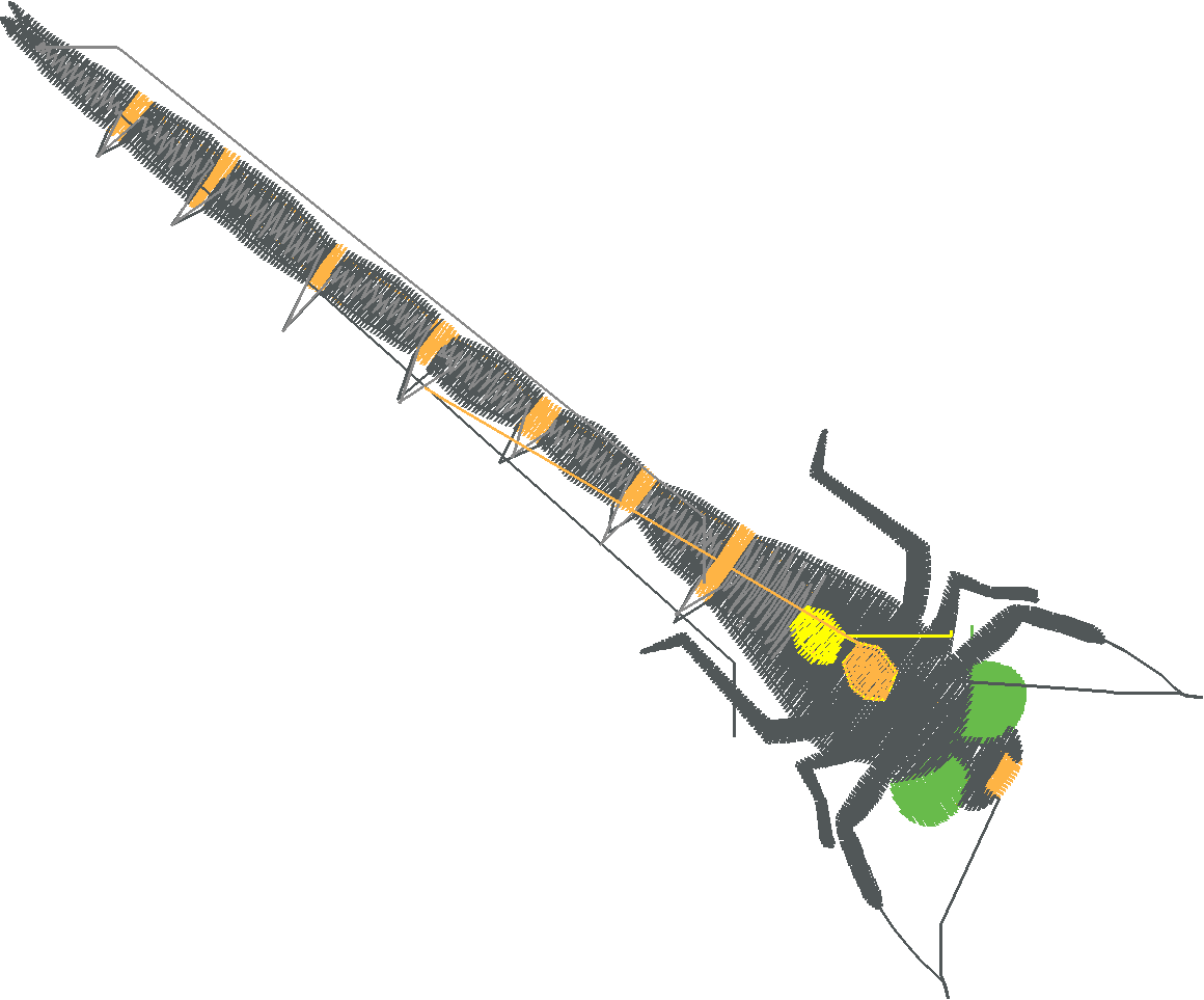 Butterflies & Dragonflies 1  (2)