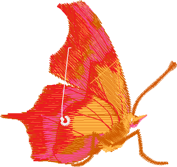 Butterflies & Dragonflies 1  (20)