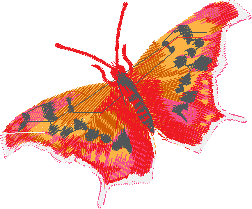 Butterflies & Dragonflies 1  (21)