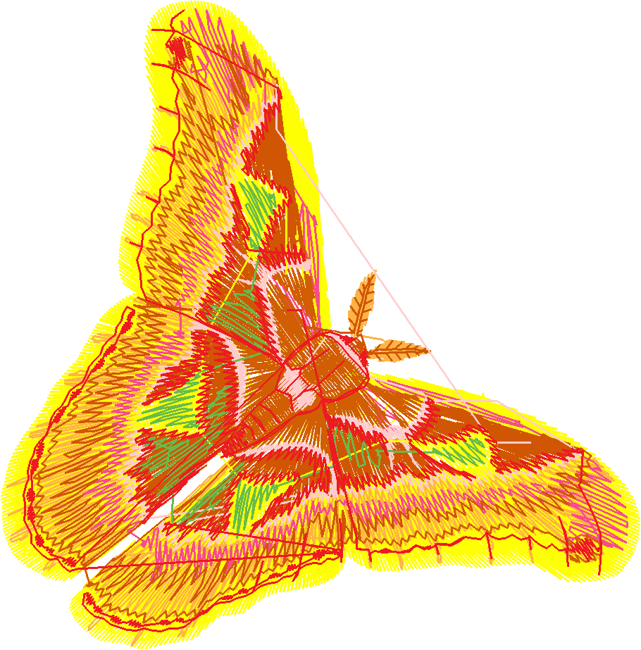 Butterflies & Dragonflies 1  (22)