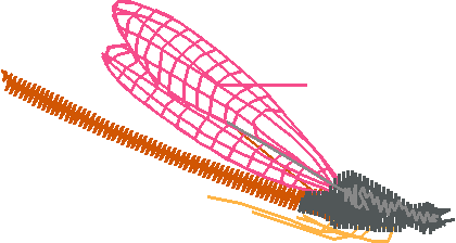 Butterflies & Dragonflies 1  (24)