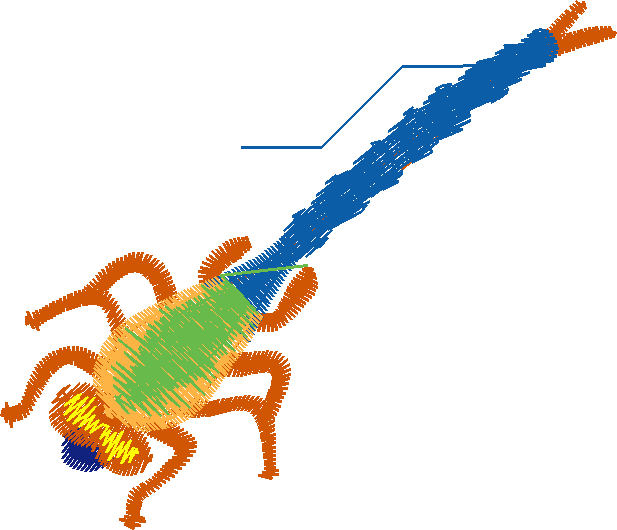 Butterflies & Dragonflies 1  (5)