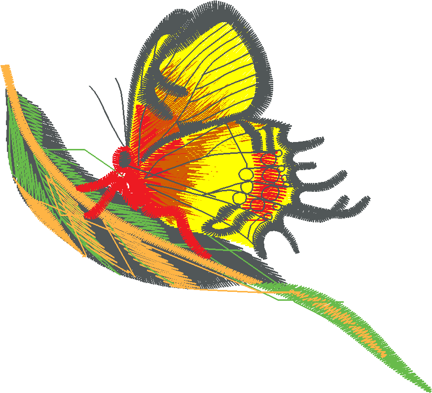 Butterflies & Dragonflies 1  (7)