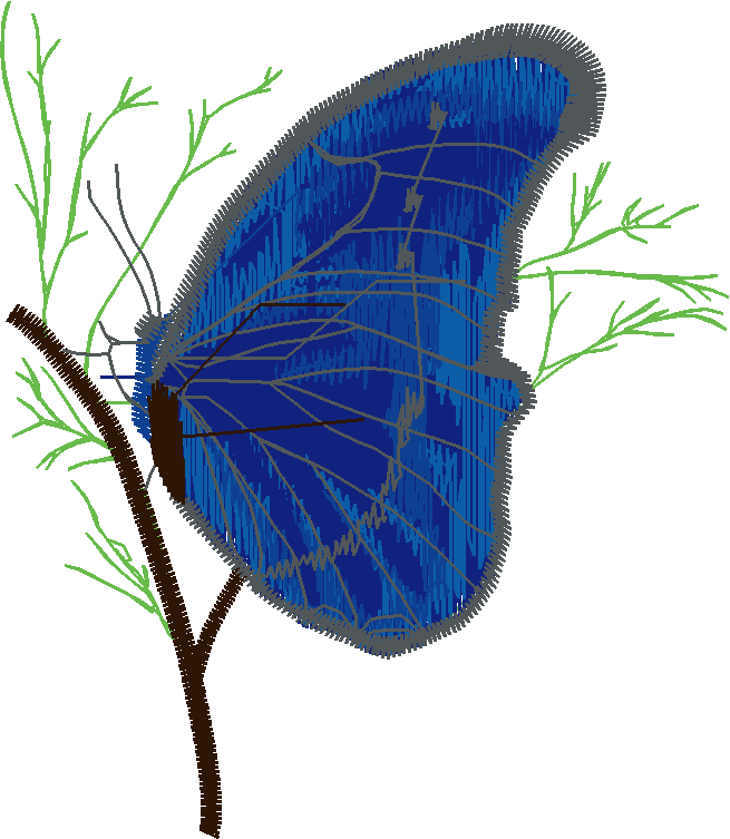 Butterflies & Dragonflies 1  (8)