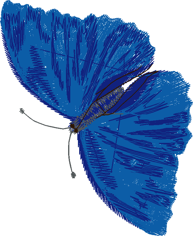 Butterflies & Dragonflies 1  (9)