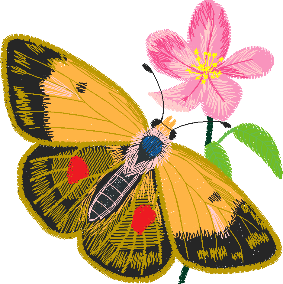 Butterflies & Flowers 1  (3)