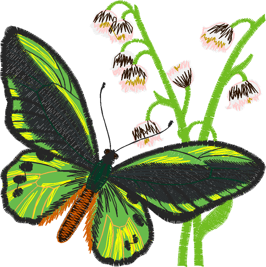 Butterflies & Flowers 1  (7)