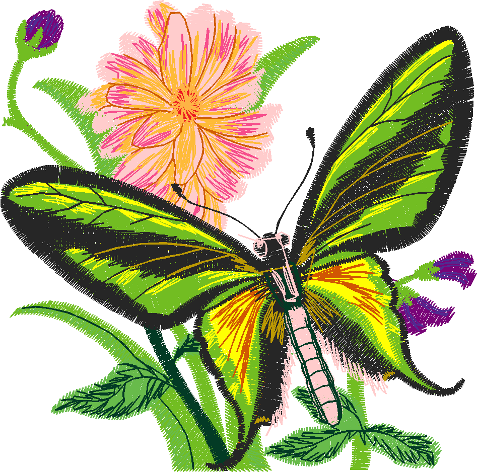 Butterflies & Flowers 1  (9)