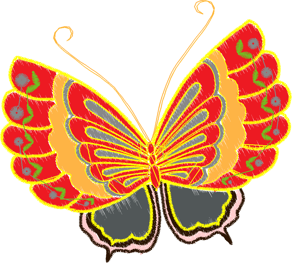 Butterflies & Insects 1  (10)