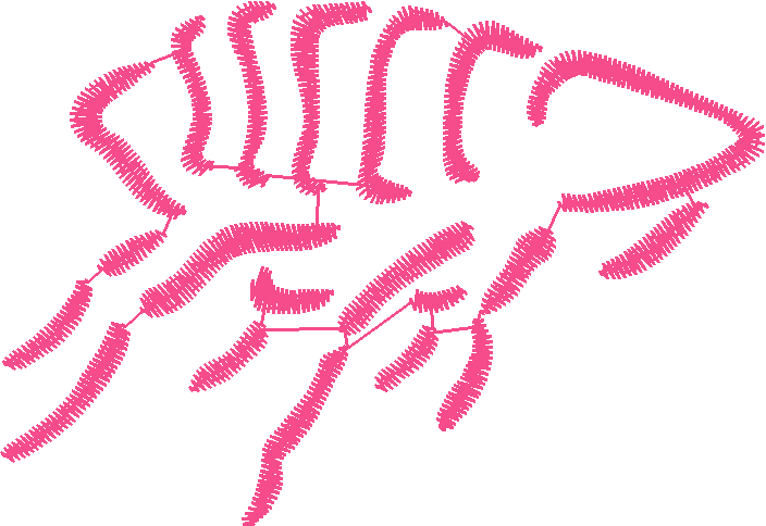 Butterflies & Insects 1  (100)