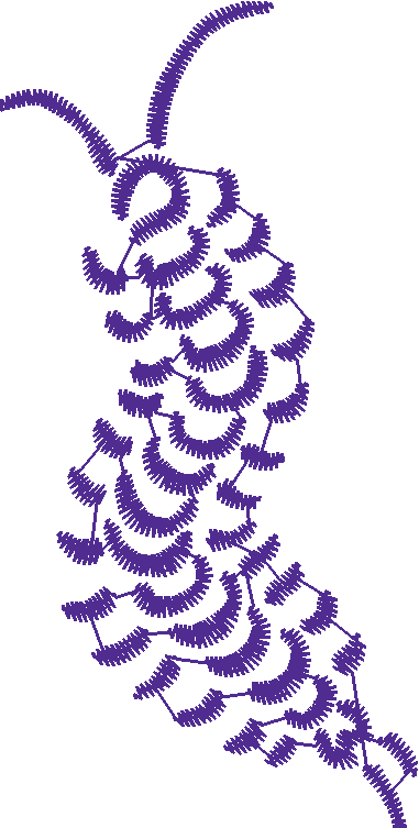 Butterflies & Insects 1  (101)