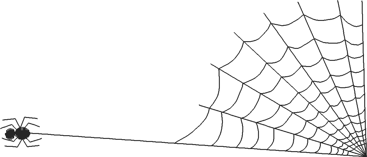 Butterflies & Insects 1  (104)