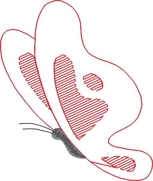 Butterflies & Insects 1  (109)