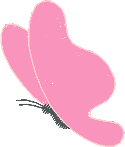 Butterflies & Insects 1  (110)