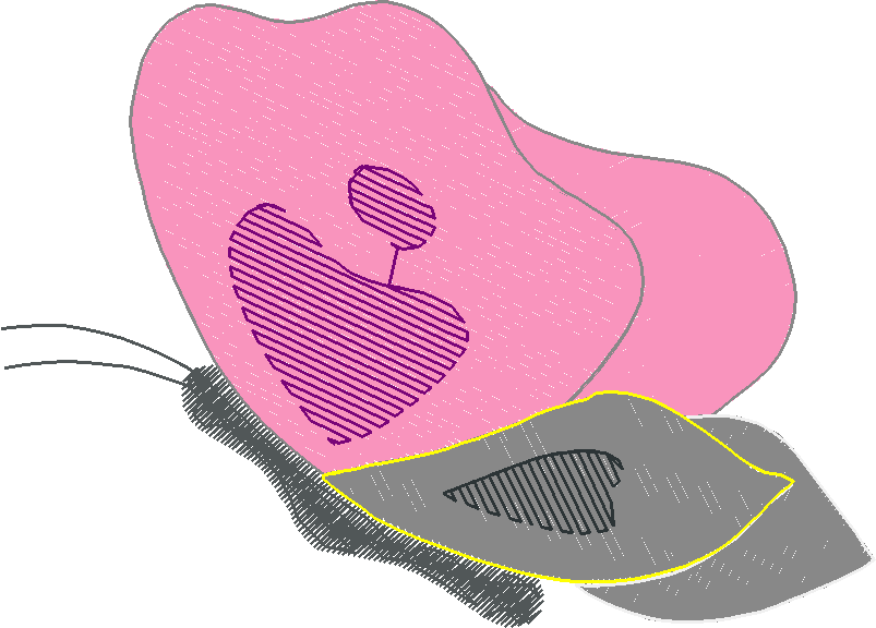 Butterflies & Insects 1  (111)