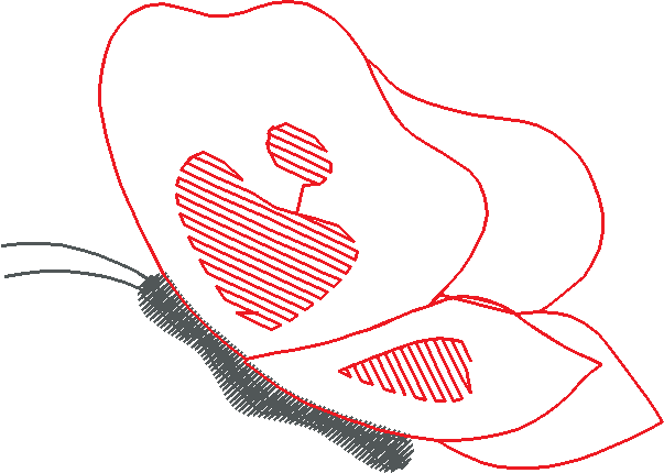 Butterflies & Insects 1  (112)