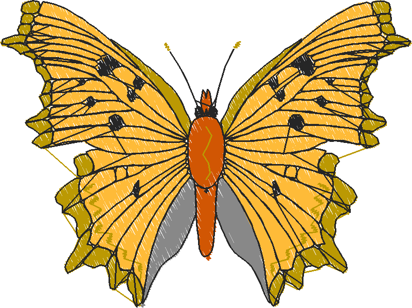 Butterflies & Insects 1  (12)