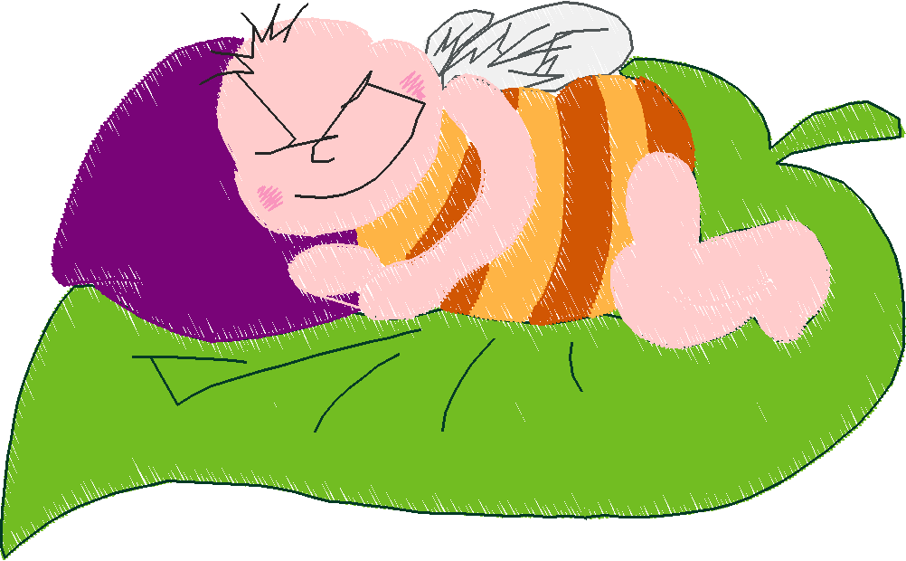 Butterflies & Insects 1  (17)