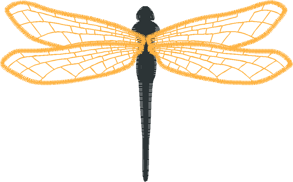 Butterflies & Insects 1  (19)