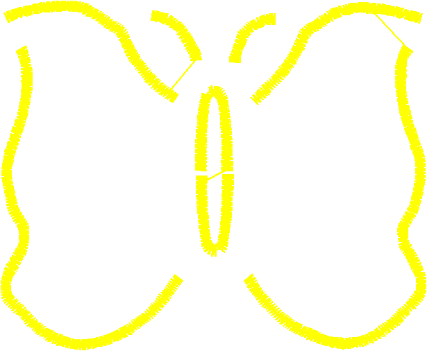 Butterflies & Insects 1  (21)