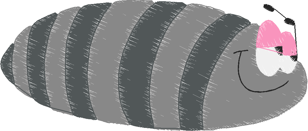 Butterflies & Insects 1  (22)