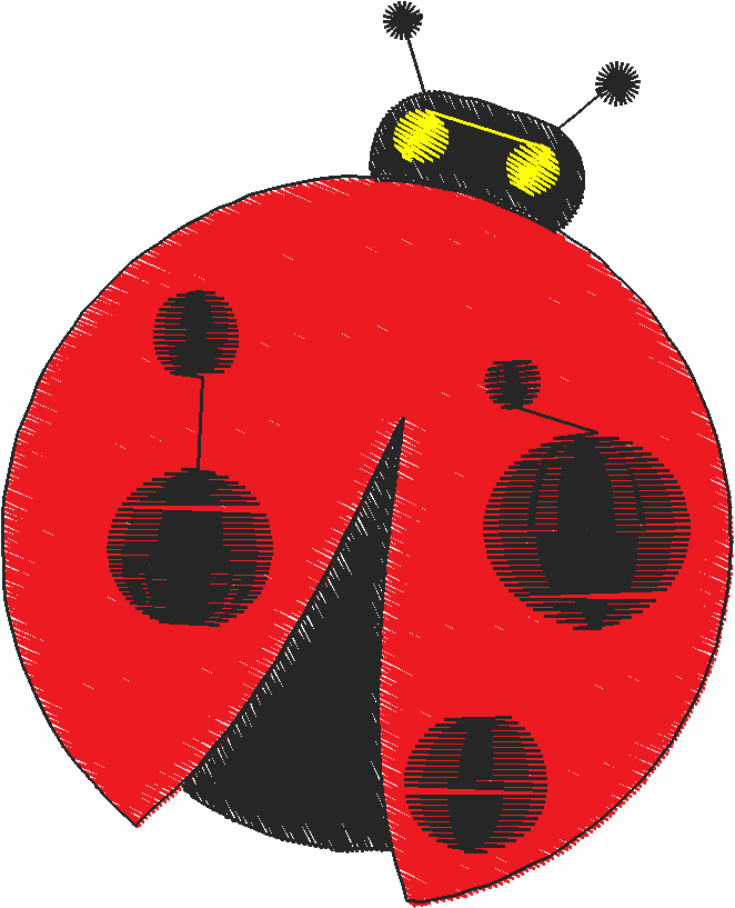 Butterflies & Insects 1  (24)