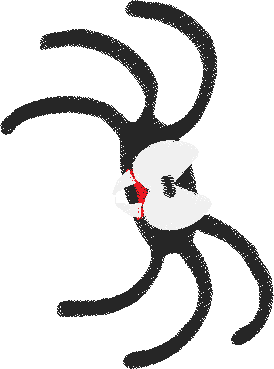 Butterflies & Insects 1  (25)