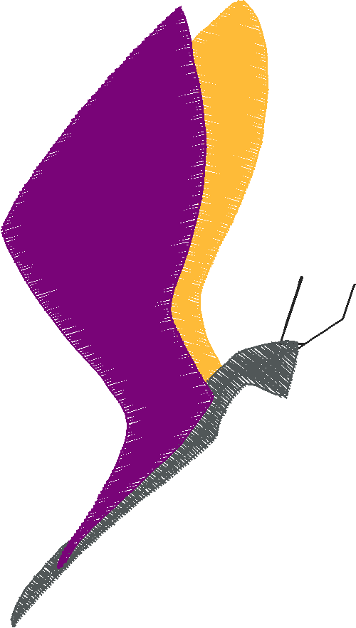 Butterflies & Insects 1  (26)