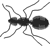 Butterflies & Insects 1  (30)