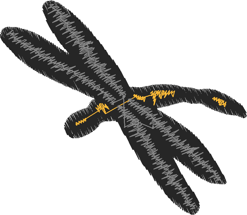 Butterflies & Insects 1  (35)