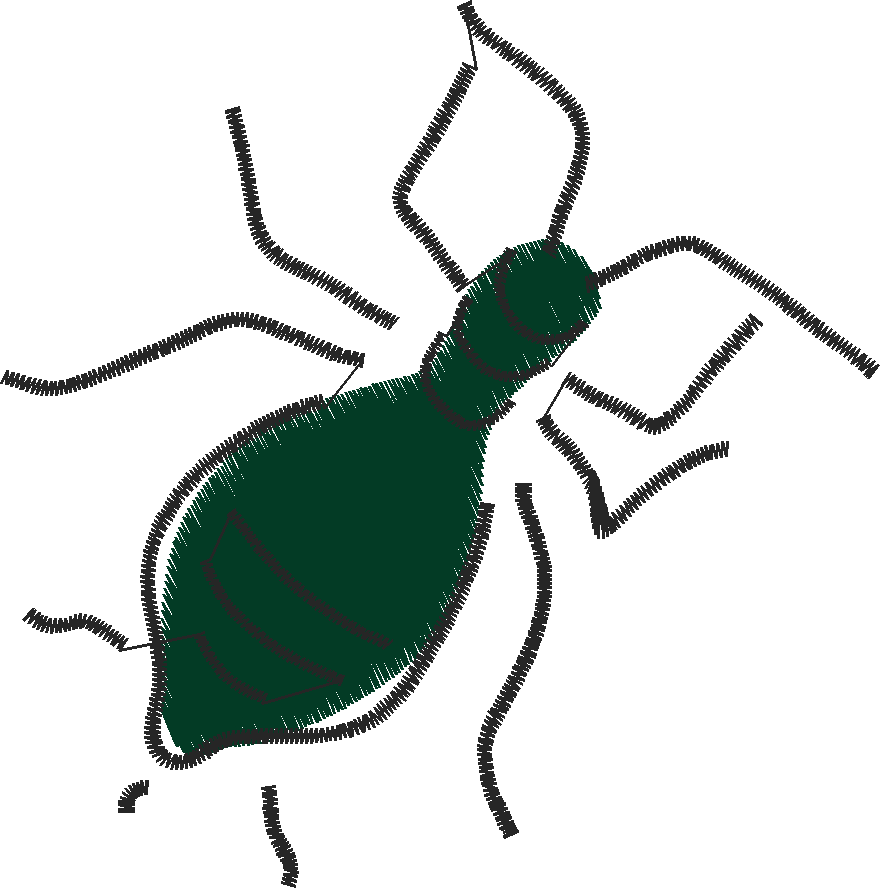 Butterflies & Insects 1  (37)