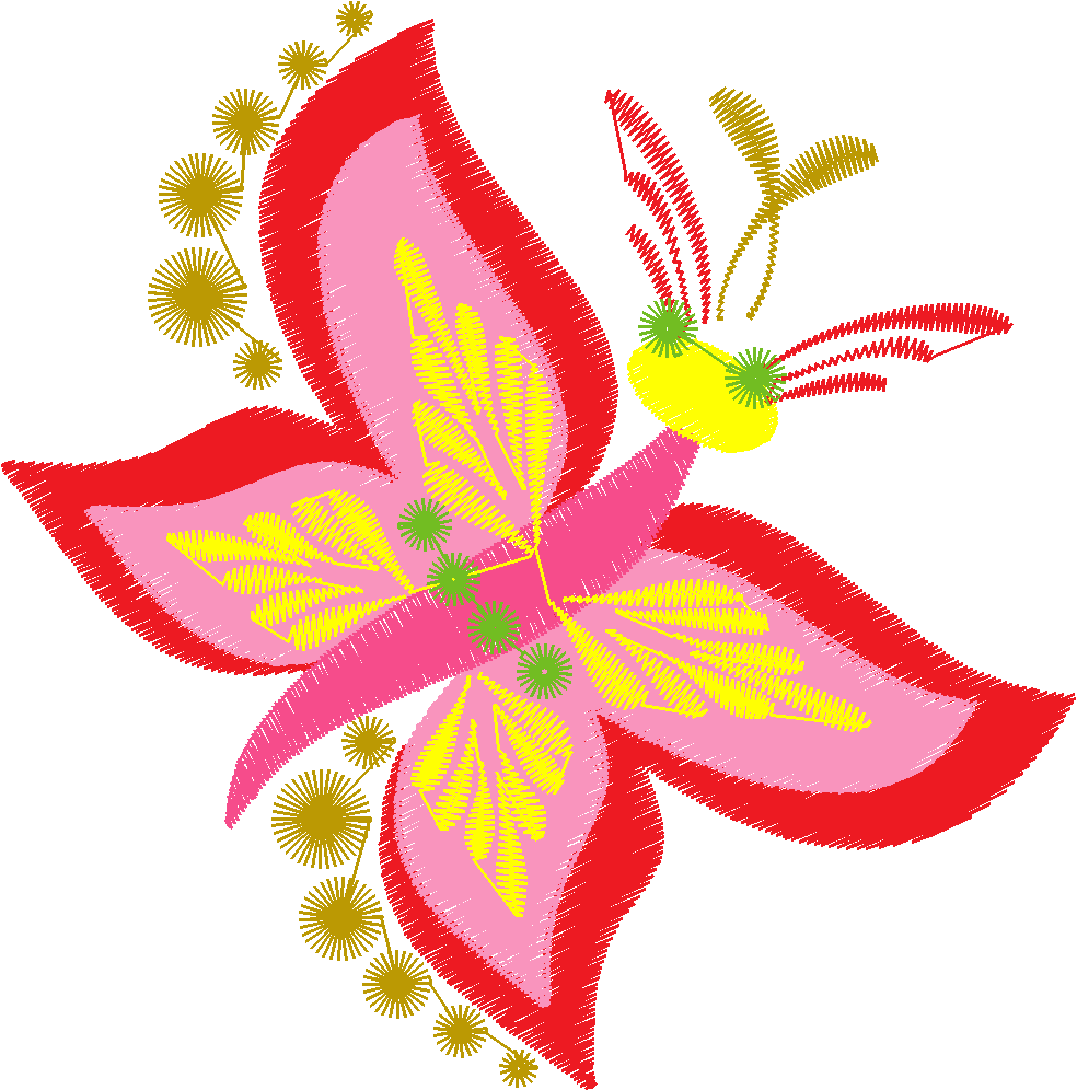 Butterflies & Insects 1  (39)