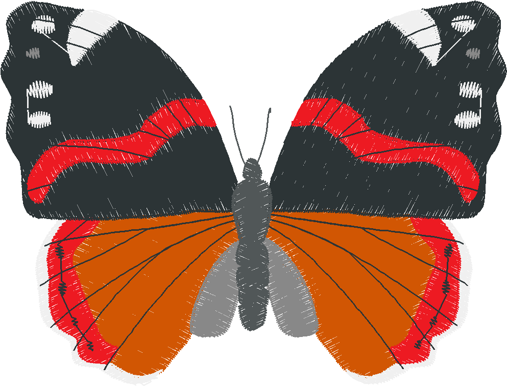 Butterflies & Insects 1  (40)