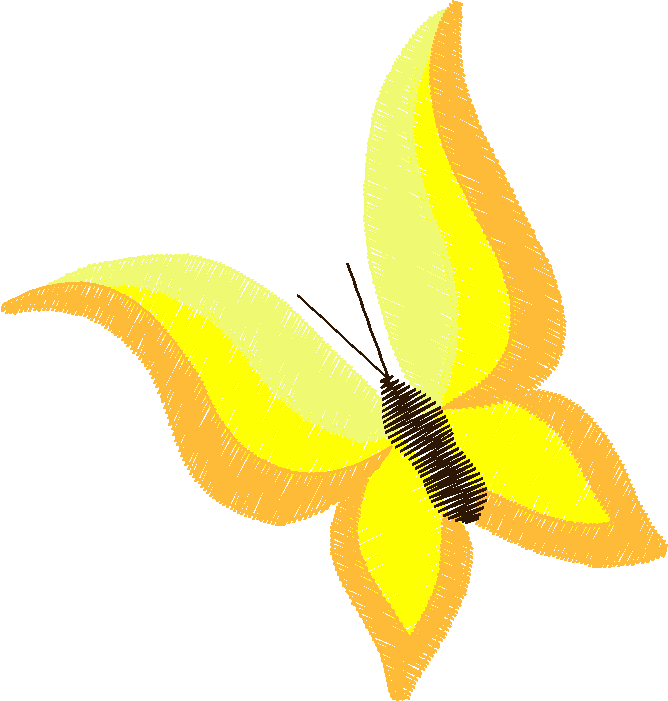 Butterflies & Insects 1  (43)