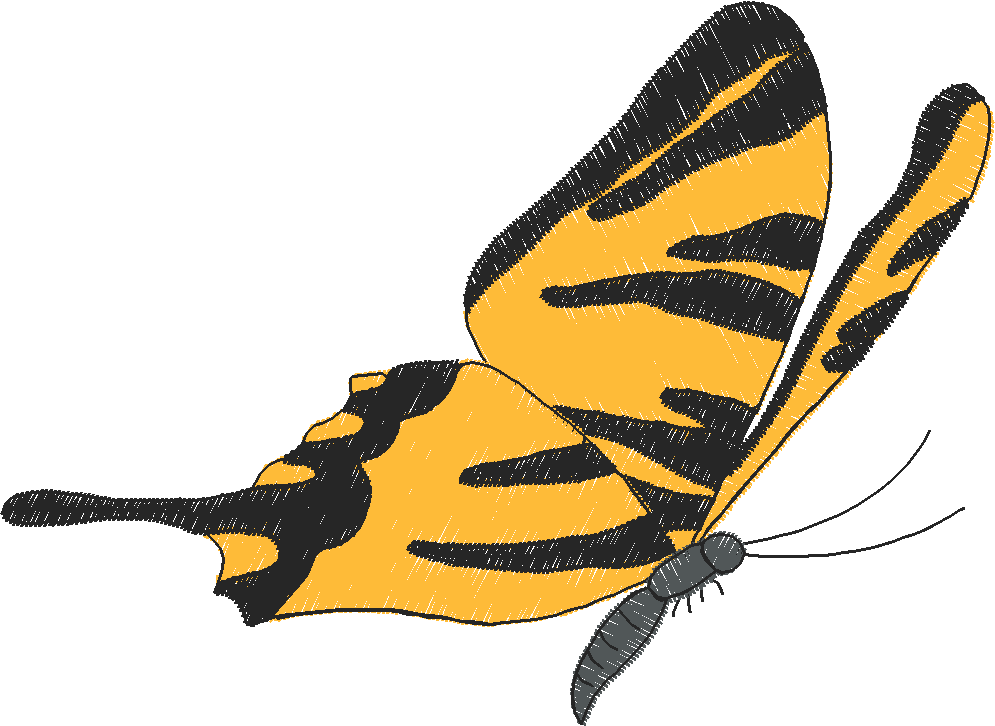 Butterflies & Insects 1  (45)