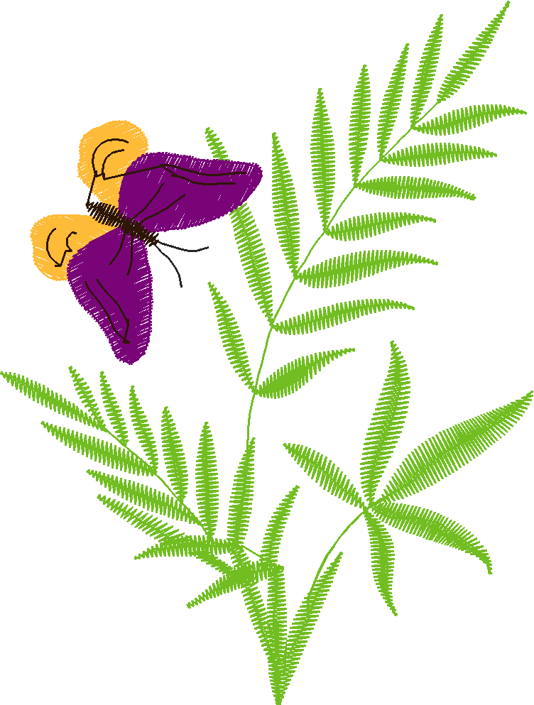 Butterflies & Insects 1  (48)