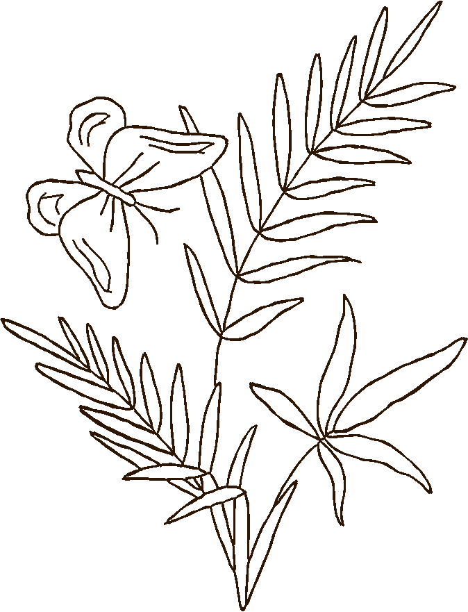 Butterflies & Insects 1  (49)