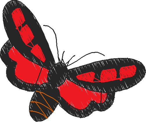 Butterflies & Insects 1  (5)