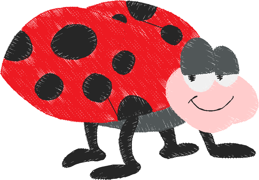 Butterflies & Insects 1  (50)