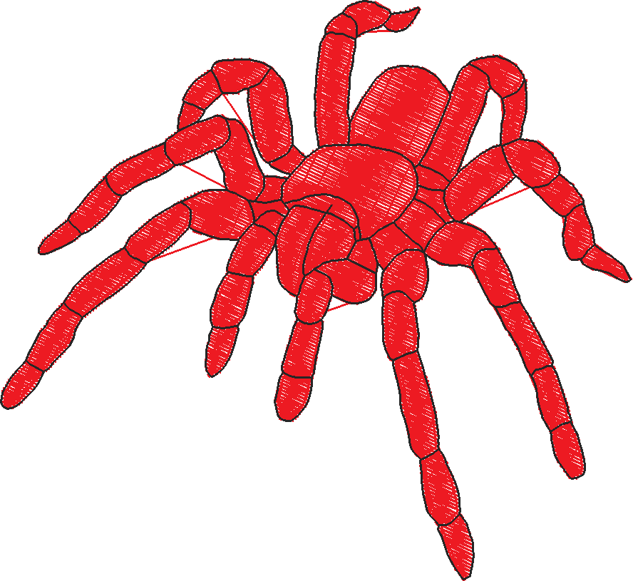 Butterflies & Insects 1  (54)