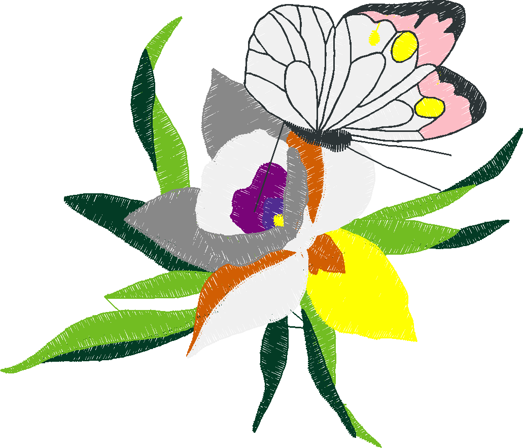 Butterflies & Insects 1  (57)